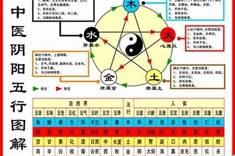 1984 鼠|1984年属鼠是什么命，84年出生五行属什么